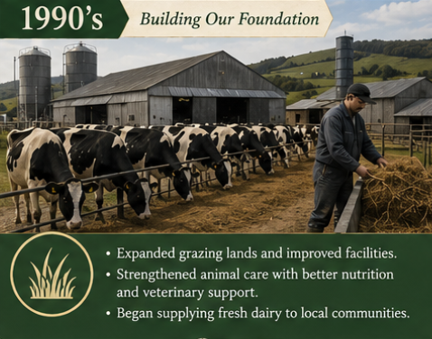 Grazing fields in the 1990s